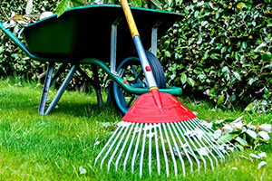 lawn-care-gardening