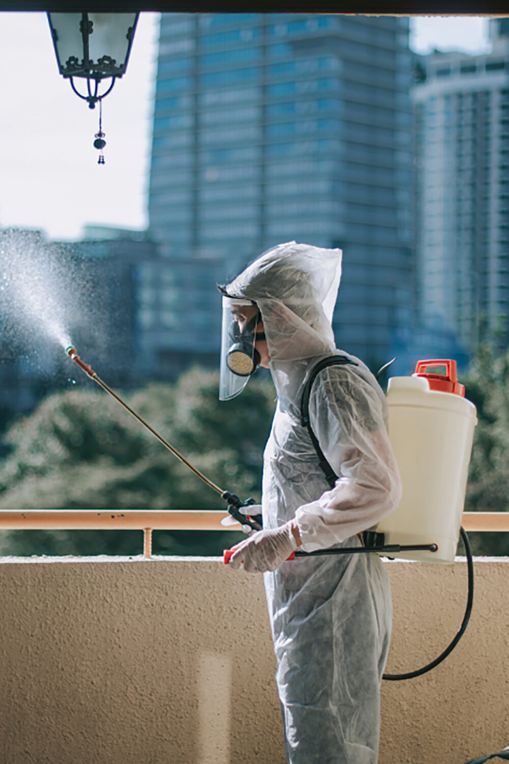 strata cleaning services