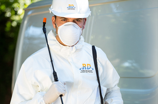 Pest Inspection Sydney