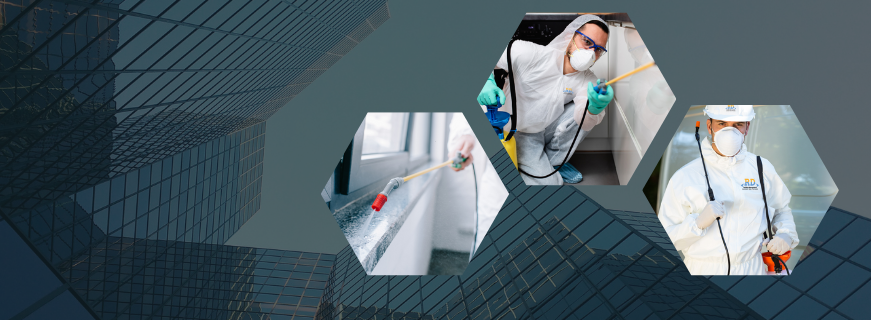 Reasons to Hire a Professional Commercial Cleaning Service