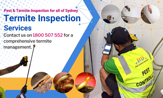 Termite inspection & treatments